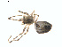  ( - BIOUG00888-D09)  @12 [ ] Copyright  G. Blagoev 2011 Unspecified