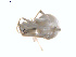  ( - BIOUG00888-E09)  @12 [ ] Copyright  G. Blagoev 2011 Unspecified