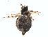 ( - BIOUG00888-F02)  @12 [ ] Copyright  G. Blagoev 2011 Unspecified