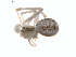  ( - BIOUG00888-G05)  @12 [ ] Copyright  G. Blagoev 2011 Unspecified