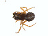  ( - BIOUG00888-G06)  @12 [ ] Copyright  G. Blagoev 2011 Unspecified