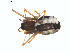  ( - BIOUG00888-H09)  @13 [ ] Copyright  G. Blagoev 2011 Unspecified