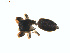  ( - BIOUG01576-D06)  @12 [ ] Copyright  G. Blagoev 2011 Unspecified