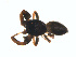  ( - BIOUG01576-E07)  @12 [ ] Copyright  G. Blagoev 2011 Unspecified