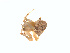  ( - BIOUG01576-G01)  @12 [ ] Copyright  G. Blagoev 2011 Unspecified
