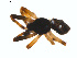 ( - BIOUG01576-H08)  @12 [ ] Copyright  G. Blagoev 2011 Unspecified