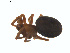  ( - BIOUG01579-A12)  @13 [ ] Copyright  G. Blagoev 2011 Unspecified