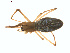  ( - BIOUG01626-C04)  @14 [ ] Copyright  G. Blagoev 2011 Unspecified