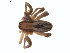  ( - BIOUG01626-C12)  @12 [ ] Copyright  G. Blagoev 2011 Unspecified