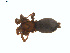  ( - BIOUG01626-D08)  @12 [ ] Copyright  G. Blagoev 2011 Unspecified