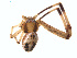  ( - BIOUG01626-D11)  @12 [ ] Copyright  G. Blagoev 2011 Unspecified