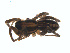  ( - BIOUG01626-E03)  @12 [ ] Copyright  G. Blagoev 2011 Unspecified