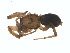  ( - BIOUG01626-E12)  @12 [ ] Copyright  G. Blagoev 2011 Unspecified