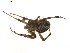  ( - BIOUG01627-D10)  @13 [ ] Copyright  G. Blagoev 2011 Unspecified