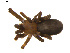  ( - BIOUG01627-G07)  @12 [ ] Copyright  G. Blagoev 2011 Unspecified