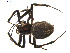  ( - BIOUG01627-G08)  @14 [ ] Copyright  G. Blagoev 2011 Unspecified