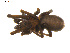  ( - BIOUG01627-G09)  @13 [ ] Copyright  G. Blagoev 2011 Unspecified