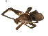  ( - BIOUG01627-H05)  @12 [ ] Copyright  G. Blagoev 2011 Unspecified
