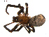  ( - BIOUG01627-H06)  @12 [ ] Copyright  G. Blagoev 2011 Unspecified