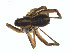  ( - BIOUG01628-D11)  @12 [ ] Copyright  G. Blagoev 2011 Unspecified