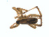  ( - BIOUG01628-E02)  @12 [ ] Copyright  G. Blagoev 2011 Unspecified