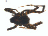  ( - BIOUG01628-E05)  @12 [ ] Copyright  G. Blagoev 2011 Unspecified