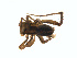  ( - BIOUG01628-G09)  @12 [ ] Copyright  G. Blagoev 2011 Unspecified