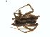  ( - BIOUG01628-H03)  @12 [ ] Copyright  G. Blagoev 2011 Unspecified