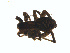  ( - BIOUG01628-H04)  @12 [ ] Copyright  G. Blagoev 2011 Unspecified