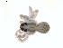  ( - BIOUG01628-H09)  @12 [ ] Copyright  G. Blagoev 2011 Unspecified