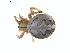  ( - BIOUG01633-A09)  @13 [ ] Copyright  G. Blagoev 2011 Unspecified