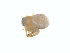  ( - BIOUG01633-C04)  @12 [ ] Copyright  G. Blagoev 2011 Unspecified