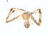  ( - BIOUG01633-C08)  @12 [ ] Copyright  G. Blagoev 2011 Unspecified