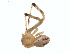  ( - BIOUG01633-D01)  @12 [ ] Copyright  G. Blagoev 2011 Unspecified