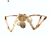  ( - BIOUG01633-D02)  @12 [ ] Copyright  G. Blagoev 2011 Unspecified