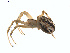  ( - BIOUG01633-G04)  @13 [ ] Copyright  G. Blagoev 2011 Unspecified
