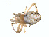 ( - BIOUG01633-G09)  @13 [ ] Copyright  G. Blagoev 2011 Unspecified