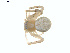  ( - BIOUG01633-H07)  @13 [ ] Copyright  G. Blagoev 2011 Unspecified