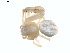  ( - BIOUG01633-H09)  @12 [ ] Copyright  G. Blagoev 2011 Unspecified