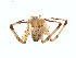  ( - BIOUG01634-A11)  @13 [ ] Copyright  G. Blagoev 2011 Unspecified