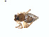  ( - BIOUG01634-B01)  @12 [ ] Copyright  G. Blagoev 2011 Unspecified