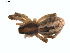  ( - BIOUG01634-D03)  @12 [ ] Copyright  G. Blagoev 2011 Unspecified