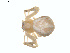  ( - BIOUG01634-E09)  @12 [ ] Copyright  G. Blagoev 2011 Unspecified