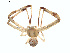  ( - BIOUG01635-A05)  @13 [ ] Copyright  G. Blagoev 2011 Unspecified
