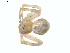  ( - BIOUG01635-A11)  @12 [ ] Copyright  G. Blagoev 2011 Unspecified