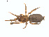  ( - BIOUG01635-D04)  @13 [ ] Copyright  G. Blagoev 2011 Unspecified