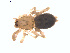  ( - BIOUG01635-D11)  @12 [ ] Copyright  G. Blagoev 2011 Unspecified
