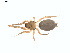  ( - BIOUG01635-F01)  @12 [ ] Copyright  G. Blagoev 2011 Unspecified