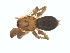  ( - BIOUG01635-F08)  @12 [ ] Copyright  G. Blagoev 2011 Unspecified