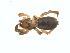  ( - BIOUG01635-F10)  @12 [ ] Copyright  G. Blagoev 2011 Unspecified